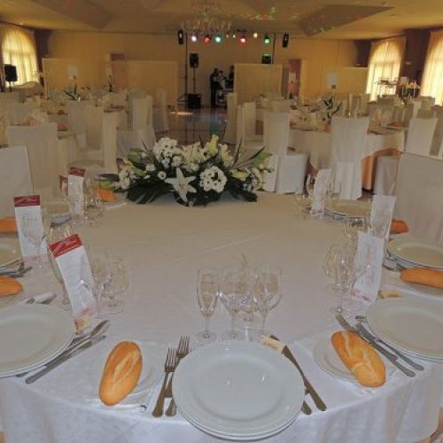Bodas Hotel Alhama 9