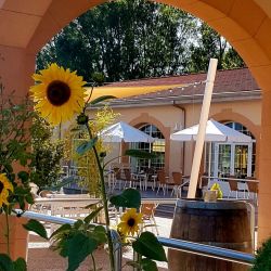 Girasol y vistas de la terraza exterior