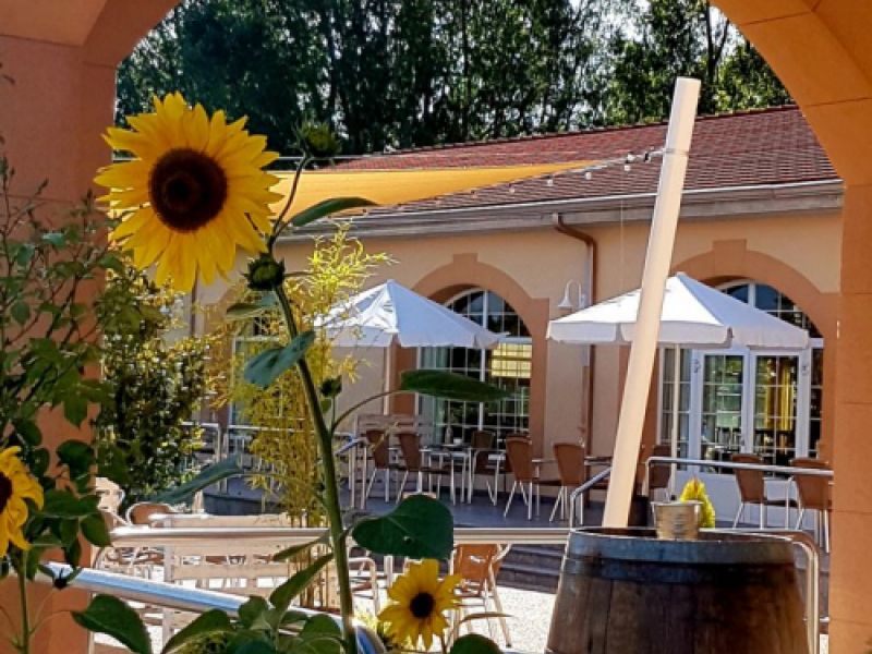 Girasol y vistas de la terraza exterior