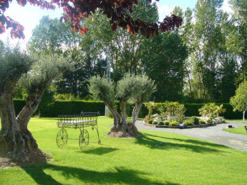 Jardín de hierba y árboles