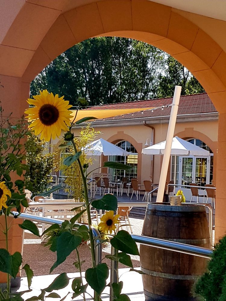 Girasol y vistas de la terraza exterior